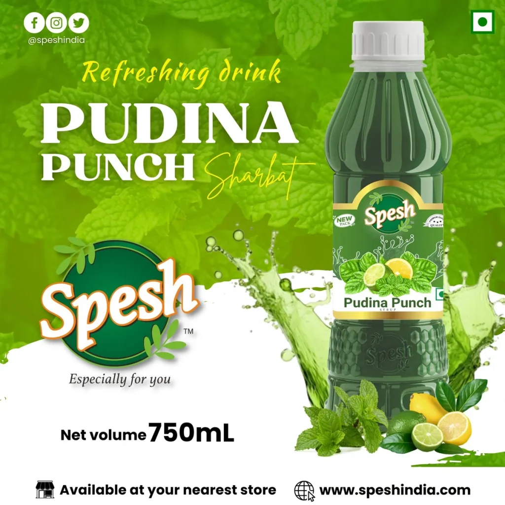 Nimbu Pudina Sharbat