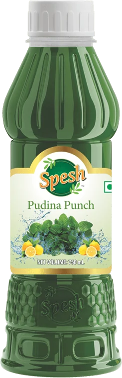 Pudina Punch Sharbat